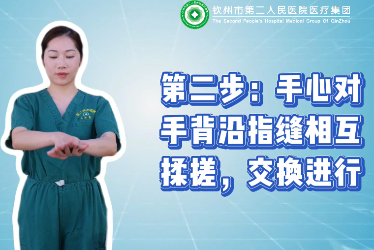 12月05日手衛(wèi)生教學(xué)視頻